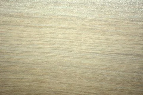 Bleached oak, natural striped pattern of light wood close-up. Stock Photos