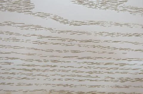 Bleached oak, texture of natural pattern on a saw closeup. Stock Photos