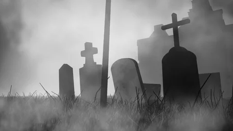 The Bleak Manor Vidéo 80731966