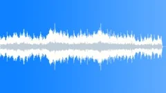 Bleak Voyage (Short)Stock Music