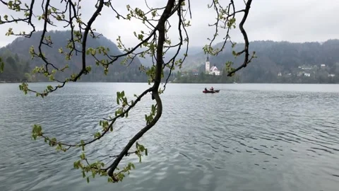 Bled Lake behind blooming tree branches in Spring in Slovenia Stock Footage 166987233
