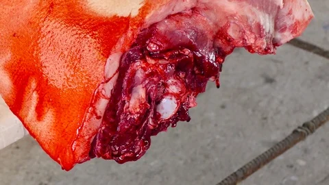 Bleeding carcass of a pig 스톡 동영상 78929196