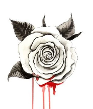 Bleeding rose Stock Illustration