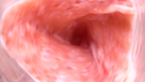 Blended pink Grapefruit. Pink pulp of grapefruit. Making juice	 Video stock 169519333