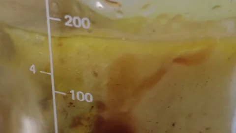 Blender close up Stock-Footage 77046400