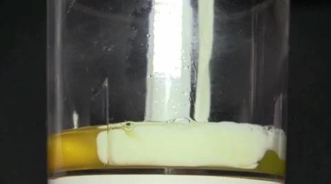 Blending eggs with milk in blender Stock Footage 62498863