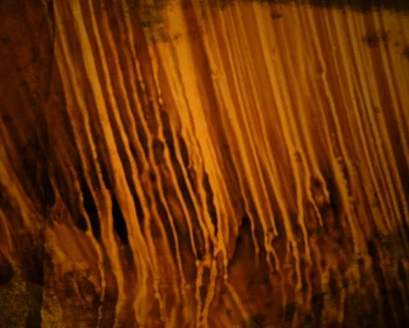 Blending Gold Видео 105291