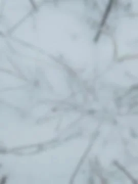 Blending soft gray cloud patterns into seamless abstract texture background Foto stock