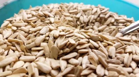 Blending sunflower seeds inside a plastic pot, at a restaurant kitchen Stock Footage 62532182