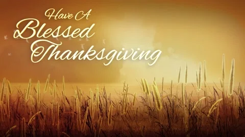Blessed Thanksgiving Harvest Fields Stock Footage 55851162