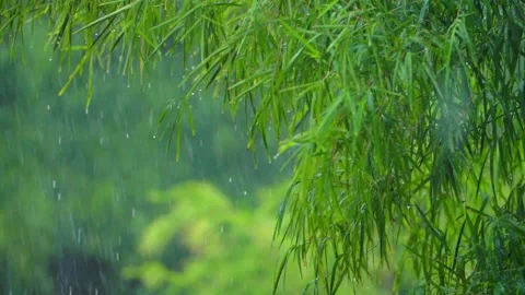 Blessing sent down by God for humans 库存影片 210734312