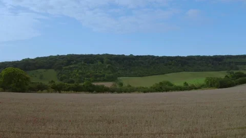 Blewair Stock-Footage 135811353