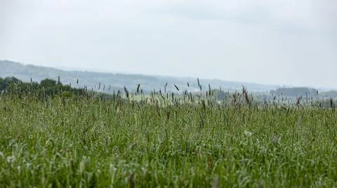 Blick in das Siebengebierge Stock Photos