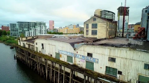 Blight to Bright Vídeo Stock 74487276