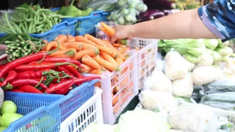 Blimbing4 Stock Footage 260850532