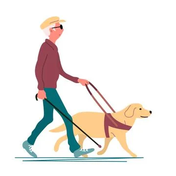 Blind elderly man and guide dog on a walk 스톡 일러스트