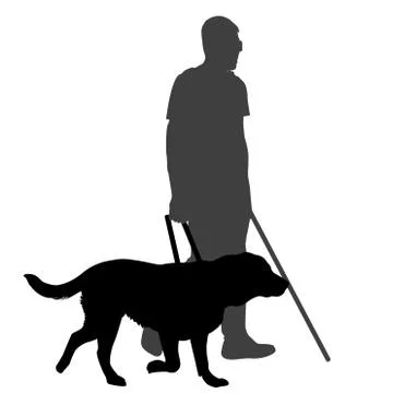 Blind man with cane and guide dog Stock Illustration
