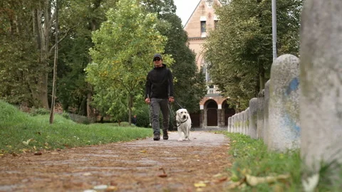 Blind man with a white cane walking in the city park with his guide dog, Stock Footage 289640791