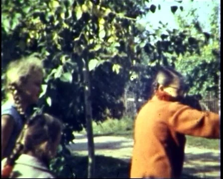 Blind Man's Buff Stockbeeldmateriaal 1063146