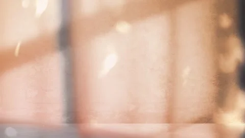 Blind Shadow Silhouette, Warm Sunlight in Cozy Afternoon Видео 284101666