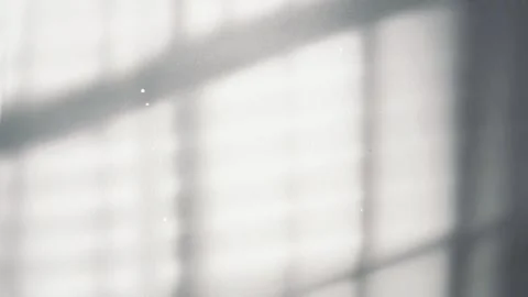 Blind Silhouette on White Textured Wall, Floating Dust Particles Lights Stock Footage 311608883