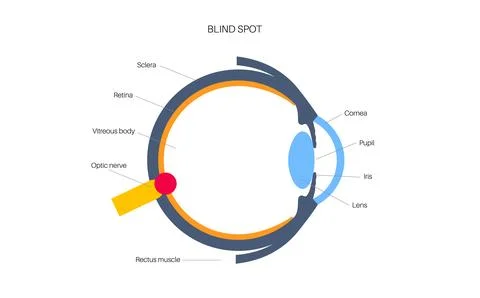 Blind spot poster Illustrazione stock