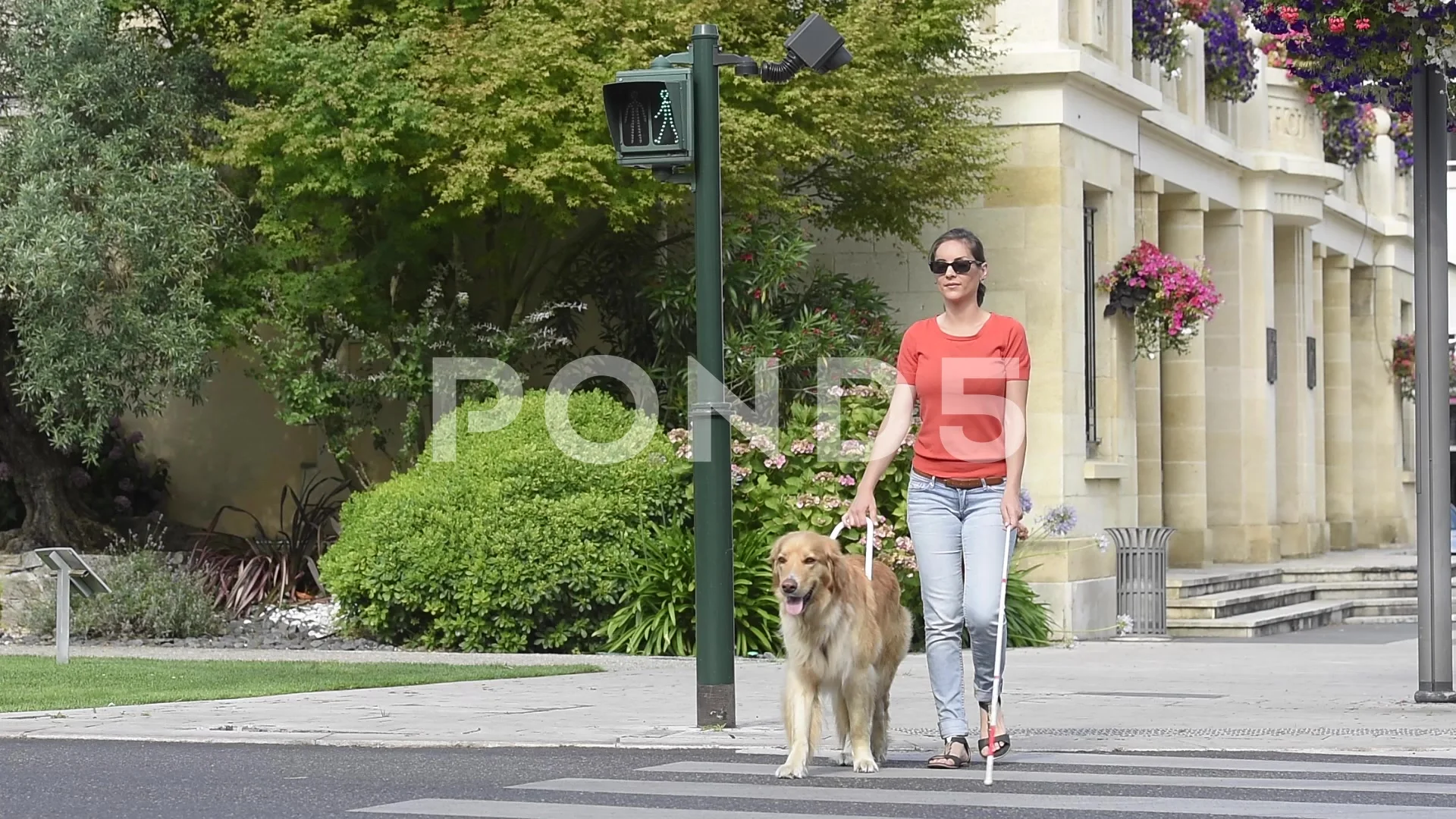 Blind woman crossing the street with hel... | Stock Video | Pond5