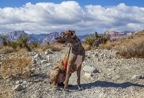 Blinded by the Light. Stock Photos