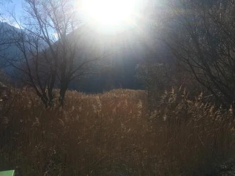 Blinded by the Sun Stock Photos
