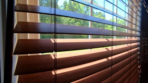 Blinders reveal dense vegetation Stock Footage 279002399