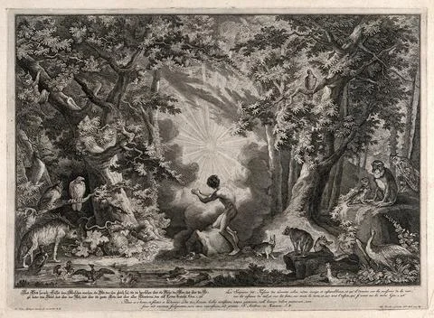 A blinding light descends on Eden in the creation of man and the animals. E.. Stock Illustration