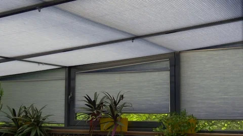 Blinds are lowered on windows with flowers. Stock-Footage 83668638