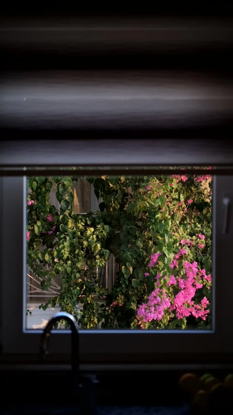 The blinds open on the window overlooking a flowering tree 스톡 동영상 266139435