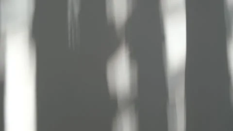 Blindshadow Stock Footage 339612253