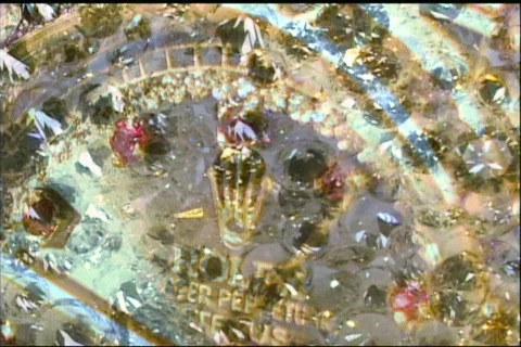 Bling 2 Stock Footage 290401