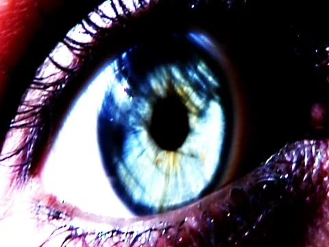 Blink 1 Stock Footage 489872