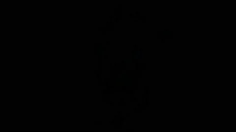Blink Skull 4K 02 Stock Footage 100116113