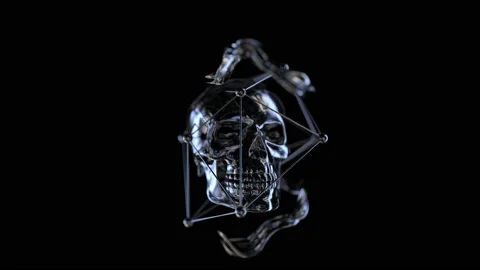 Blink Skull 4K 04 Vidéo 100116137