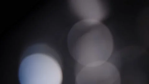 Blinking Bokeh of Defocused Foliage Particles in Black and White Stock Footage 238983759