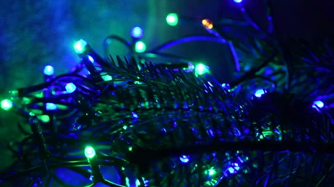 Blinking colored Christmas lights on with green fir branch. Stock Footage 131152001