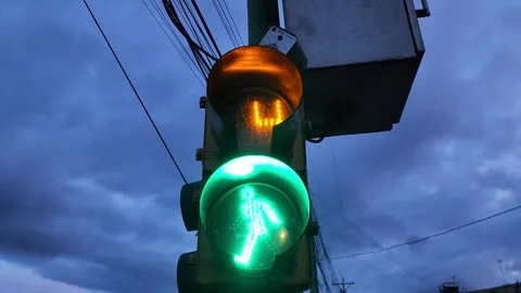 Blinking cross walk sign - count down from walk to do not walk Stock Footage 257610865