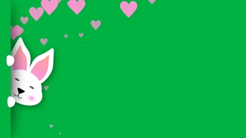Blinking eye white bunny looking animation on green screen with floating hear Stock Footage 266787694
