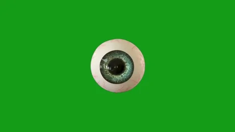 Blinking eyeball motion graphics with green screen background Stock Footage 139256524