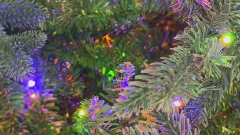 Blinking festive colored lights on a Christmas holiday tree Stock Footage 319711411