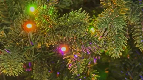 Blinking festive colored lights on a Christmas holiday tree Stock Footage 319711415