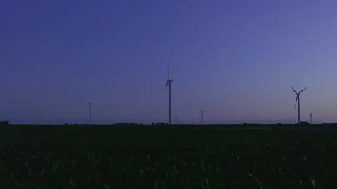 Blinking fireflies above cornfield at dusk with wind turbines on the horizon Stock Footage 340283358
