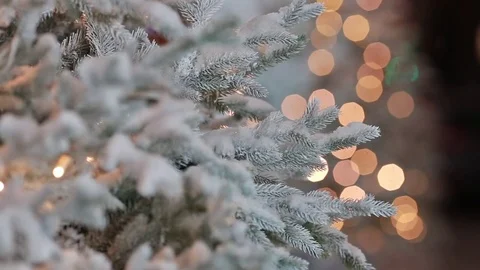 Blinking Garlands on Christmas Tree Stock Footage 78771198