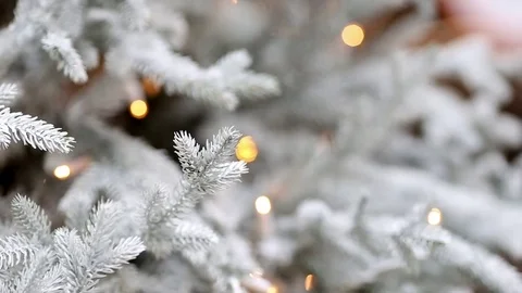 Blinking Garlands on Christmas Tree Stock Footage 82442597