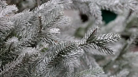Blinking Garlands on Christmas Tree Stock Footage 119847951