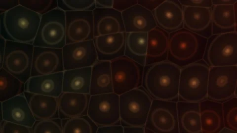 Blinking Glitter Bokeh Light Background Seamless Loop Stock Footage 341770530